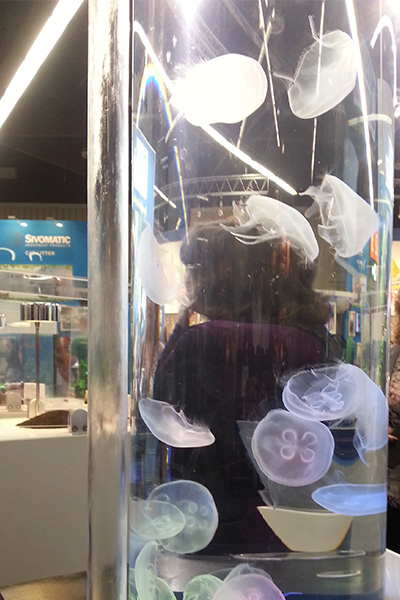    Minimál oszlopakvárium medúzákkal és LED világítással.