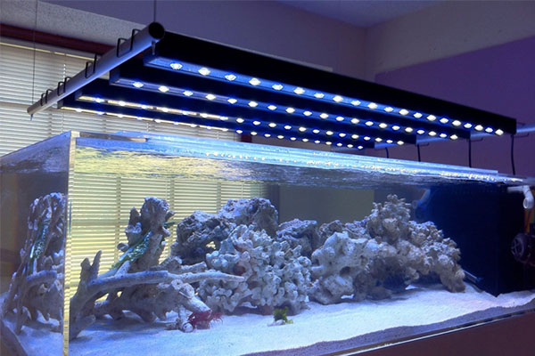 akvárium-led-világítás