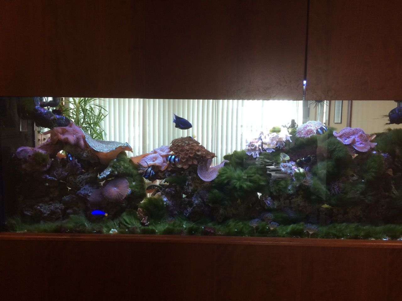 IMG_0324.jpeg