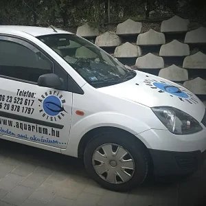 akvárium üzemeltetés